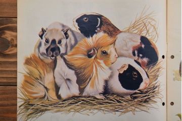 アンティーク雑貨　イギリスビンテージ　1972年　Once Upon a Time 児童雑誌(絵本)4冊セット