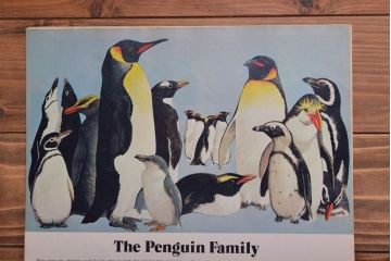 アンティーク雑貨　イギリスビンテージ　1971年　Once Upon a Time 児童雑誌(絵本)5冊セット