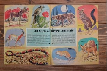 アンティーク雑貨　イギリスビンテージ　1971年　Once Upon a Time 児童雑誌(絵本)5冊セット