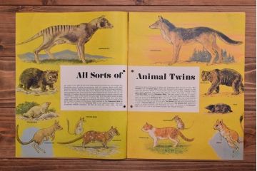 アンティーク雑貨　イギリスビンテージ　1971年　Once Upon a Time 児童雑誌(絵本)5冊セット