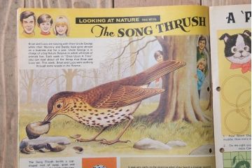 アンティーク雑貨　イギリスビンテージ　1972年　Once Upon a Time 児童雑誌(絵本)5冊セット