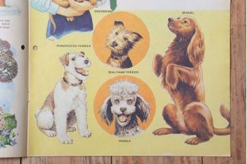 アンティーク雑貨　イギリスビンテージ　1972年　Once Upon a Time 児童雑誌(絵本)5冊セット