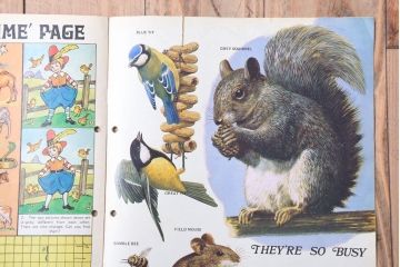 アンティーク雑貨　イギリスビンテージ　1972年　Once Upon a Time 児童雑誌(絵本)5冊セット