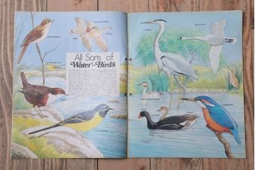 アンティーク雑貨　イギリスビンテージ　1972年　Once Upon a Time 児童雑誌(絵本)5冊セット