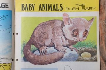 アンティーク雑貨　イギリスビンテージ　1972年　Once Upon a Time 児童雑誌(絵本)5冊セット
