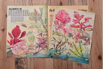 アンティーク雑貨　イギリスビンテージ　1971年　Once Upon a Time 児童雑誌(絵本)5冊セット(2)