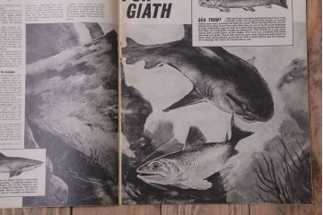 アンティーク雑貨　イギリスビンテージ　1967年　LOOK AND LEARN 児童雑誌(コミック)5冊セット