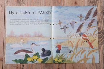 アンティーク雑貨　イギリスビンテージ　1972年　Once Upon a Time 児童雑誌(絵本)5冊セット(2)
