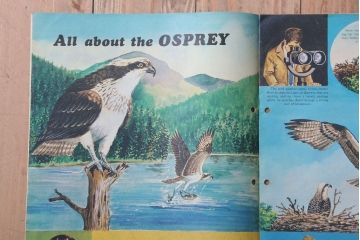 アンティーク雑貨　イギリスビンテージ　1972年　Once Upon a Time 児童雑誌(絵本)5冊セット(2)