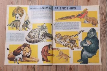 アンティーク雑貨　イギリスビンテージ　1972年　Once Upon a Time 児童雑誌(絵本)5冊セット(2)