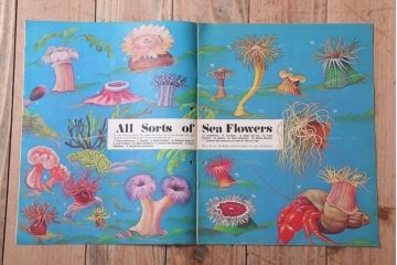 アンティーク雑貨　イギリスビンテージ　1971年　Once Upon a Time 児童雑誌(絵本)5冊セット(3)