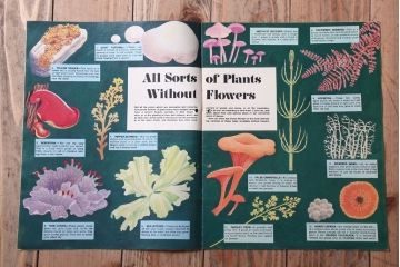 アンティーク雑貨　イギリスビンテージ　1971年　Once Upon a Time 児童雑誌(絵本)5冊セット(3)