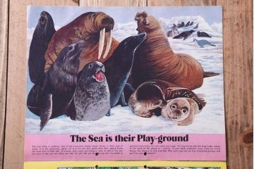 アンティーク雑貨　イギリスビンテージ　1971年　Once Upon a Time 児童雑誌(絵本)5冊セット(3)