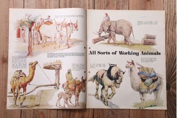 アンティーク雑貨　イギリスビンテージ　1971年　Once Upon a Time 児童絵本(雑誌)5冊セット