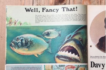 アンティーク雑貨　イギリスビンテージ　1971年　Once Upon a Time 児童絵本(雑誌)5冊セット