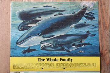アンティーク雑貨　イギリスビンテージ　1971年　Once Upon a Time 児童絵本(雑誌)5冊セット