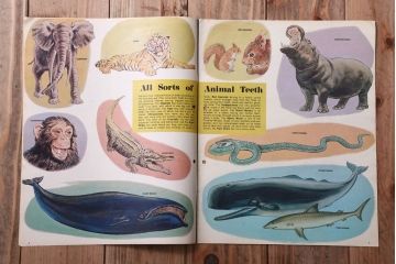 アンティーク雑貨　イギリスビンテージ　1971年　Once Upon a Time 児童絵本(雑誌)5冊セット