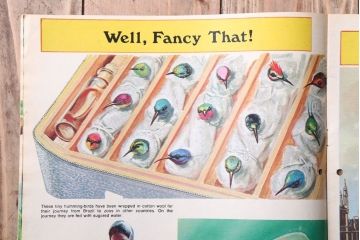 アンティーク雑貨　イギリスビンテージ　1971年　Once Upon a Time 児童絵本(雑誌)5冊セット