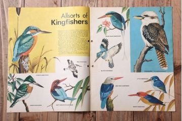 アンティーク雑貨　イギリスビンテージ　1971年　Once Upon a Time 児童絵本(雑誌)5冊セット