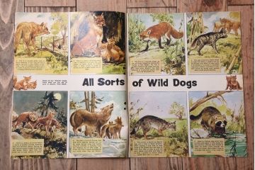 アンティーク雑貨　イギリスビンテージ　1969年　Once Upon a Time 児童雑誌(絵本)5冊セット