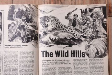 アンティーク雑貨　イギリスビンテージ　1968年　LOOK AND LEARN 児童雑誌(コミック)3冊セット