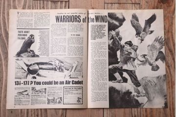 アンティーク雑貨　イギリスビンテージ　1968年　LOOK AND LEARN 児童雑誌(コミック)3冊セット