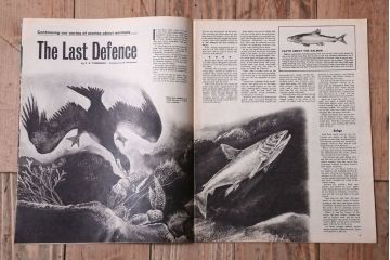 アンティーク雑貨　イギリスビンテージ　1967年　LOOK AND LEARN 児童雑誌(コミック)5冊セット(2)