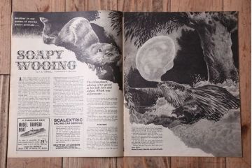 アンティーク雑貨　イギリスビンテージ　1967年　LOOK AND LEARN 児童雑誌(コミック)5冊セット(3)