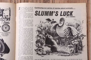 アンティーク雑貨　イギリスビンテージ　1967年　LOOK AND LEARN 児童雑誌(コミック)5冊セット(3)