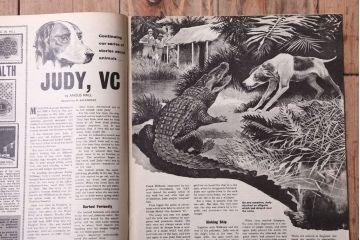 アンティーク雑貨　イギリスビンテージ　1967年　LOOK AND LEARN 児童雑誌(コミック)5冊セット(3)