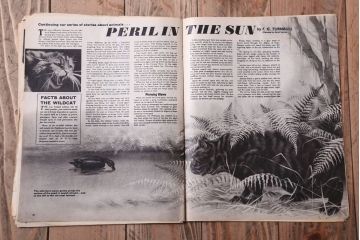 アンティーク雑貨　イギリスビンテージ　1967年　LOOK AND LEARN 児童コミック(雑誌)5冊セット