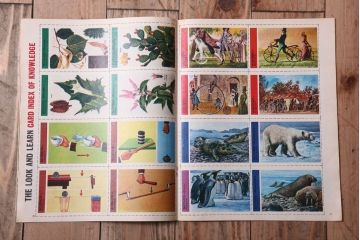 アンティーク雑貨　イギリスビンテージ　1967年　LOOK AND LEARN 児童コミック(雑誌)5冊セット