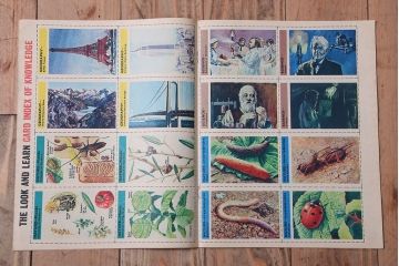 アンティーク雑貨　イギリスビンテージ　1967年　LOOK AND LEARN 児童コミック(雑誌)5冊セット(2)