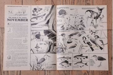 アンティーク雑貨　イギリスビンテージ　1967年　LOOK AND LEARN 児童コミック(雑誌)5冊セット(2)