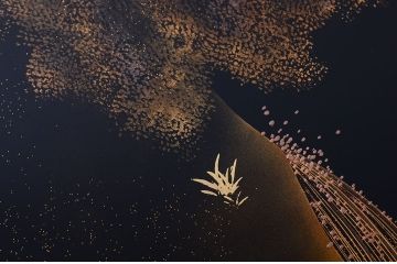 中古　輪島塗　浜高悦朗銘　両側乾漆蒔絵高級座卓(定価約180万円)