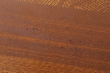 アンティーク家具　アンティーク　古い木のシンプルなちゃぶ台(2)