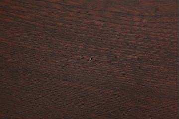 レトロ家具　昭和レトロ　古い木製のセンターテーブル(ちゃぶ台)(2)