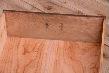 アンティーク家具　古民具・骨董　モールガラス入り!前面欅材の和製アンティーク収納棚(2)