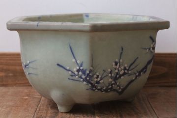 アンティーク雑貨　古民具・骨董　梅の図　青磁植木鉢　六角型(2)