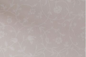 アンティーク家具　アンティーク オリジナルペイントのケビントガラスケース(収納棚、キャビネット)(2)