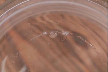 アンティーク雑貨　昭和レトロ　特大!乾燥瓶・デシケーター(ガラス瓶)