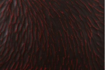 アンティーク雑貨　和製アンティーク　大正昭和初期　鎌倉彫の木製盆5枚セット