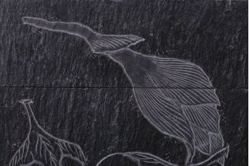 アンティーク雑貨　古民具・骨董 玉杢製箱付き!古い石製の彫刻収納箱