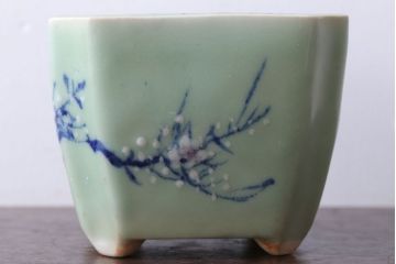 アンティーク雑貨　古民具・骨董　梅の図　小さな青磁植木鉢(八角型)