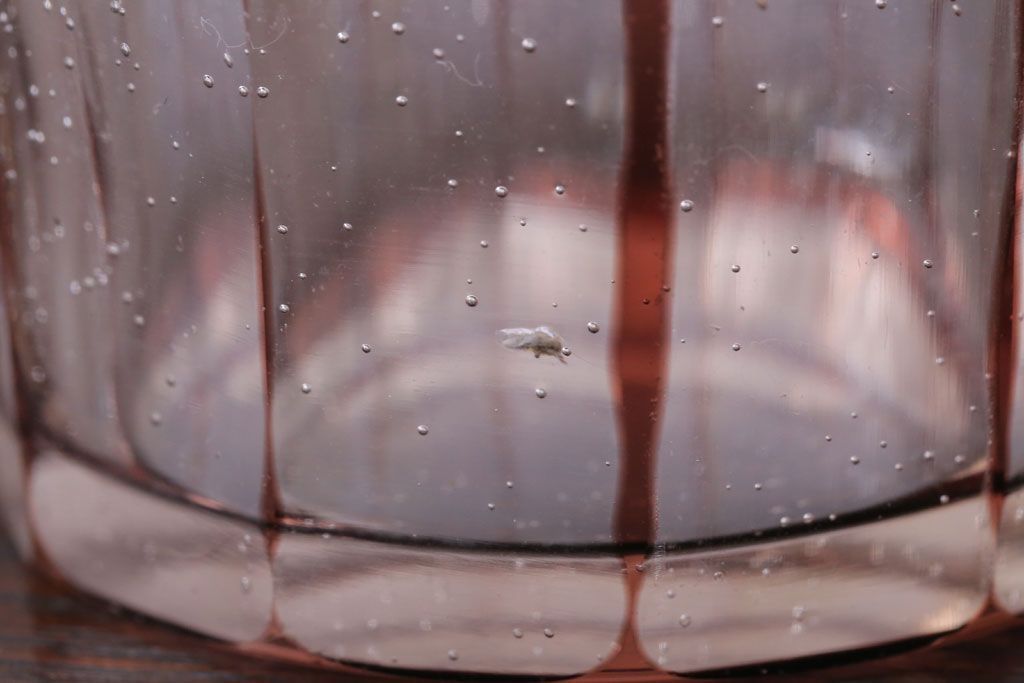 アンティーク雑貨　アンティーク　昭和初期　切子コップ　5個セット(ガラス・氷コップ)