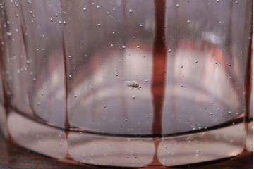 アンティーク雑貨　アンティーク　昭和初期　切子コップ　5個セット(ガラス・氷コップ)