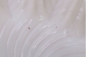 フランスアンティーク　フリルシェードのかわいいペンダントライト(ホワイト)