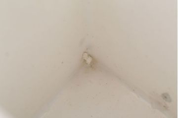 アンティーク雑貨　ドイツビンテージ　キャ二スター3個セット(小物入れ、洋食器、蓋付保存容器、ヴィンテージ)(R-021963)