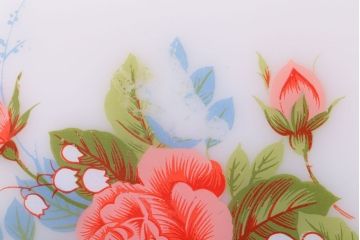 アンティーク雑貨　イギリスビンテージ　JAJ　パイレックス　Cottage Rose(コテージ ローズ)シリーズ　ミルクガラスのプレート3枚セット(洋食器)
