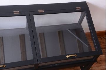 アンティーク家具　ペイント　扉(蓋)付きのアンティークガラスケース(ショーケース)